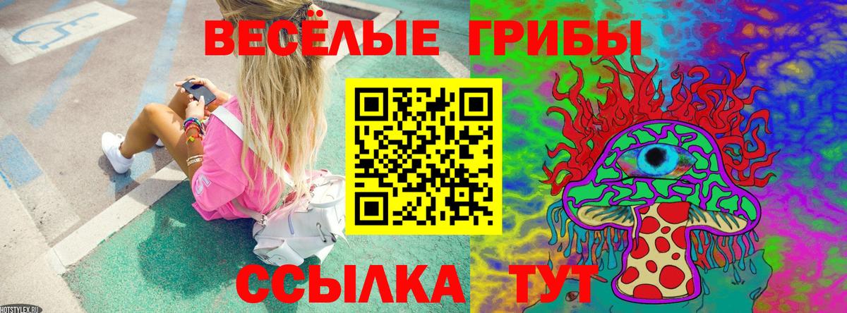 Галлюциногенные грибы ЛСД Сокол